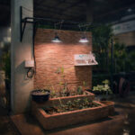 LED para cultivo de plantas