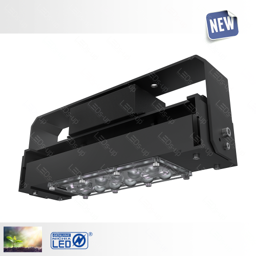 BLOOMRAY-50W-01