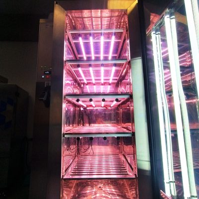 iluminação para câmara de crescimento