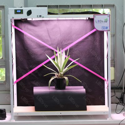 Estante de experimentação