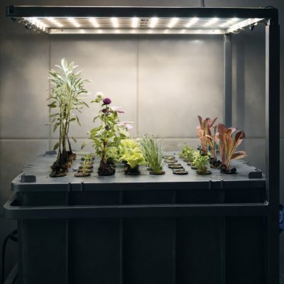 Sistema de produção de plantas em cultivo indoor