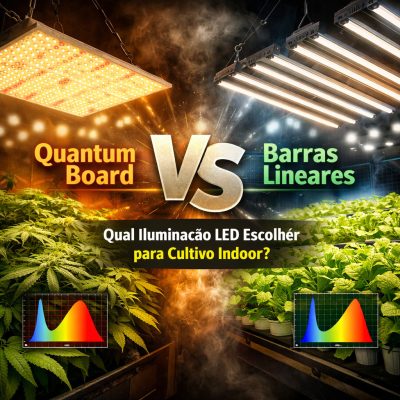 Quantum board vs Barras lineares